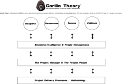 The Gorilla Theory Principles